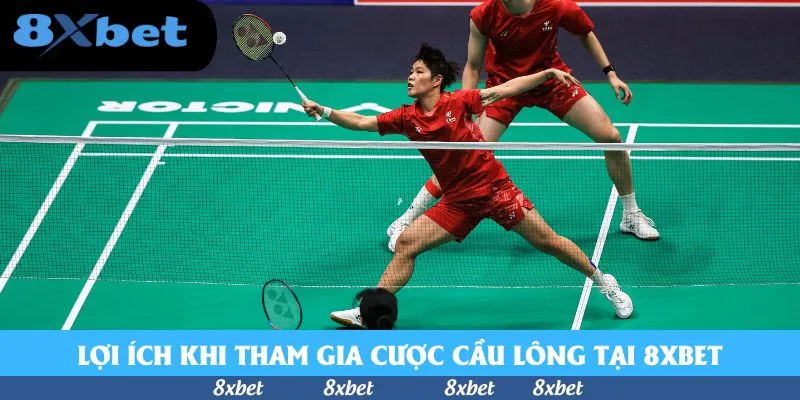 Lợi ích khi tham gia cược cầu lông tại 8xbet